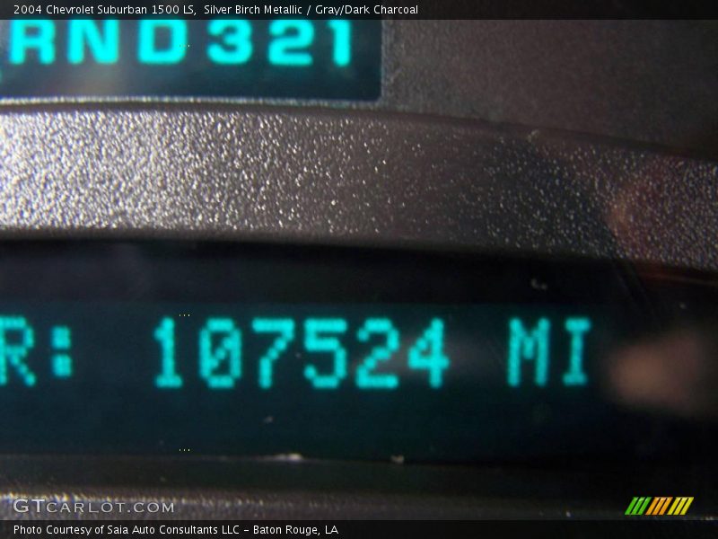 Silver Birch Metallic / Gray/Dark Charcoal 2004 Chevrolet Suburban 1500 LS