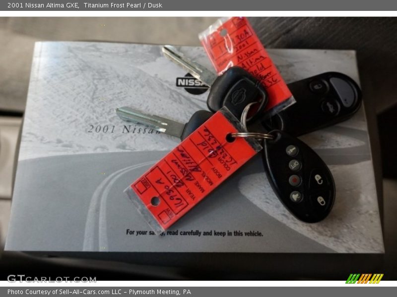 Titanium Frost Pearl / Dusk 2001 Nissan Altima GXE