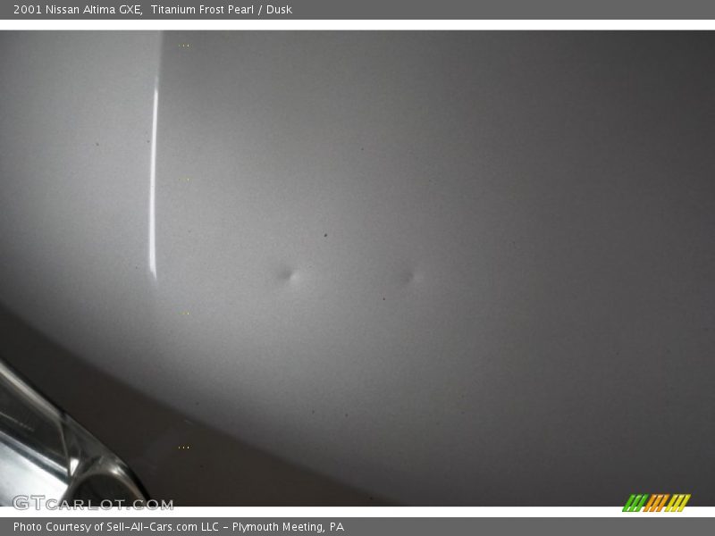 Titanium Frost Pearl / Dusk 2001 Nissan Altima GXE