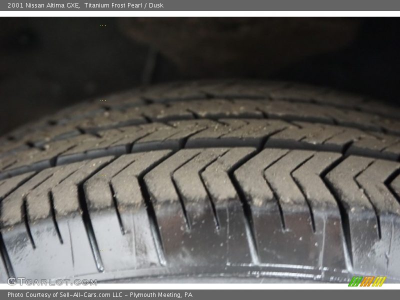 Titanium Frost Pearl / Dusk 2001 Nissan Altima GXE