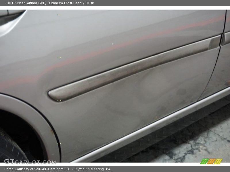 Titanium Frost Pearl / Dusk 2001 Nissan Altima GXE