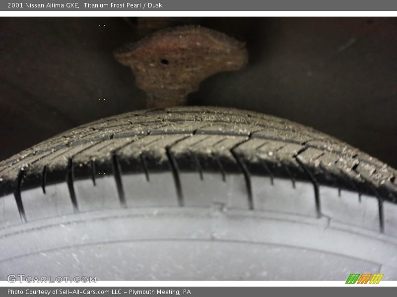Titanium Frost Pearl / Dusk 2001 Nissan Altima GXE