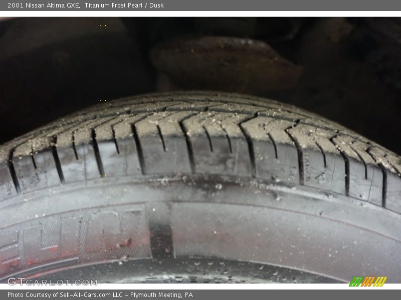 Titanium Frost Pearl / Dusk 2001 Nissan Altima GXE