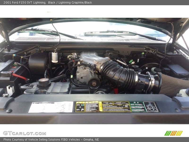 Black / Lightning Graphite/Black 2001 Ford F150 SVT Lightning