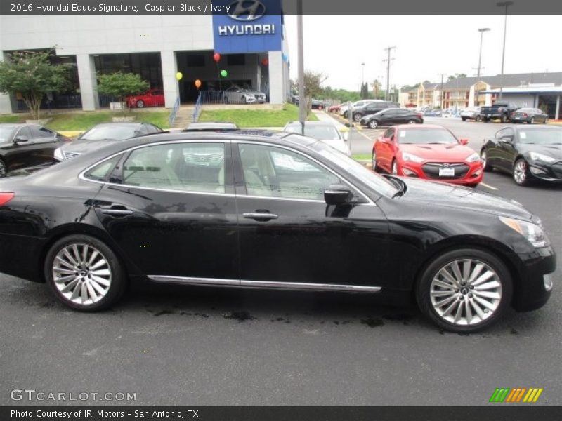 Caspian Black / Ivory 2016 Hyundai Equus Signature