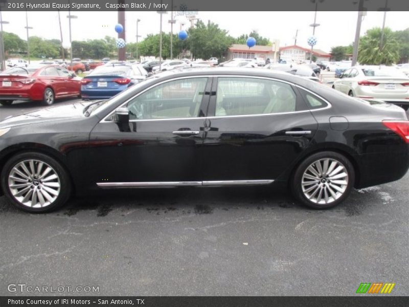Caspian Black / Ivory 2016 Hyundai Equus Signature