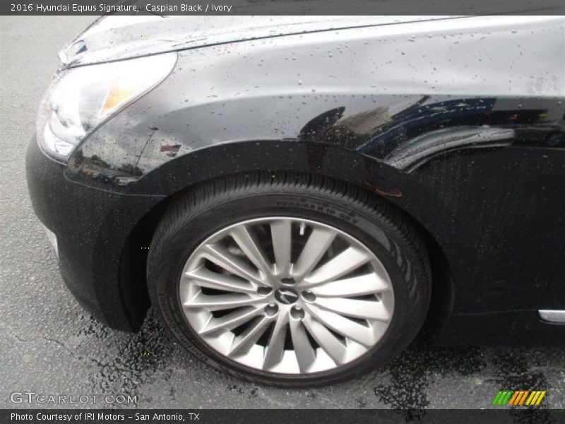 Caspian Black / Ivory 2016 Hyundai Equus Signature