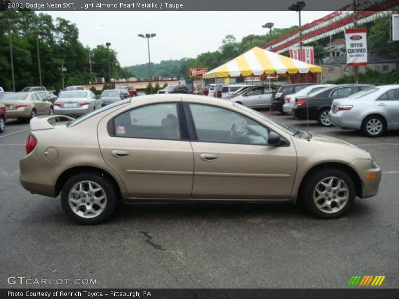 Light Almond Pearl Metallic / Taupe 2002 Dodge Neon SXT