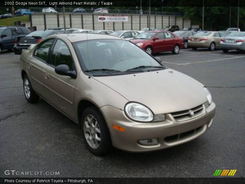 Light Almond Pearl Metallic / Taupe 2002 Dodge Neon SXT