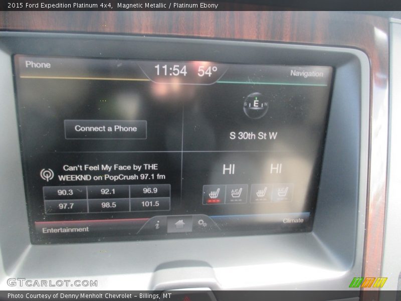 Magnetic Metallic / Platinum Ebony 2015 Ford Expedition Platinum 4x4