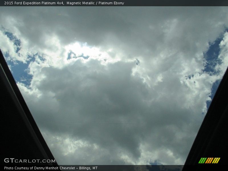 Magnetic Metallic / Platinum Ebony 2015 Ford Expedition Platinum 4x4