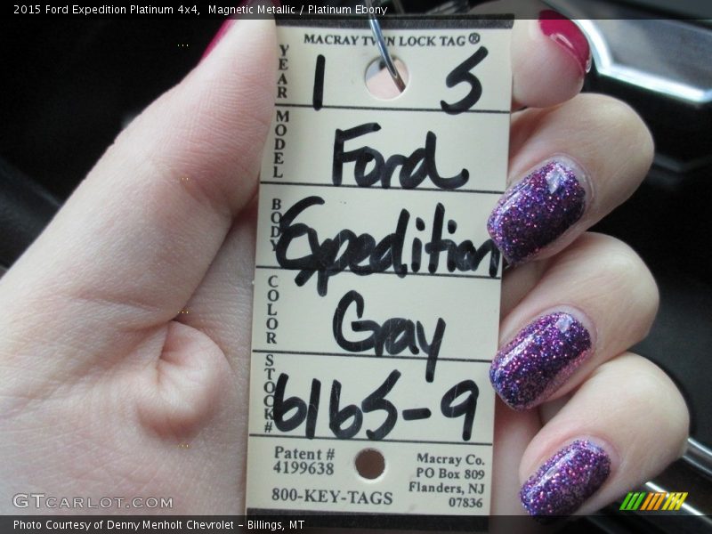Magnetic Metallic / Platinum Ebony 2015 Ford Expedition Platinum 4x4