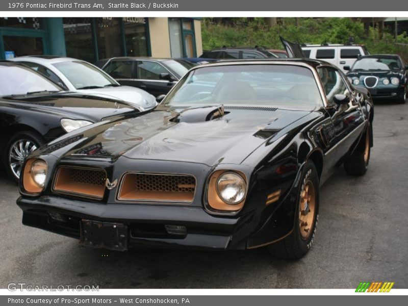 Starlite Black / Buckskin 1976 Pontiac Firebird Trans Am