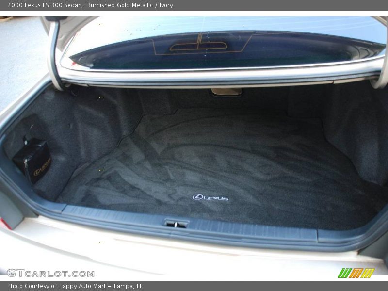 Burnished Gold Metallic / Ivory 2000 Lexus ES 300 Sedan