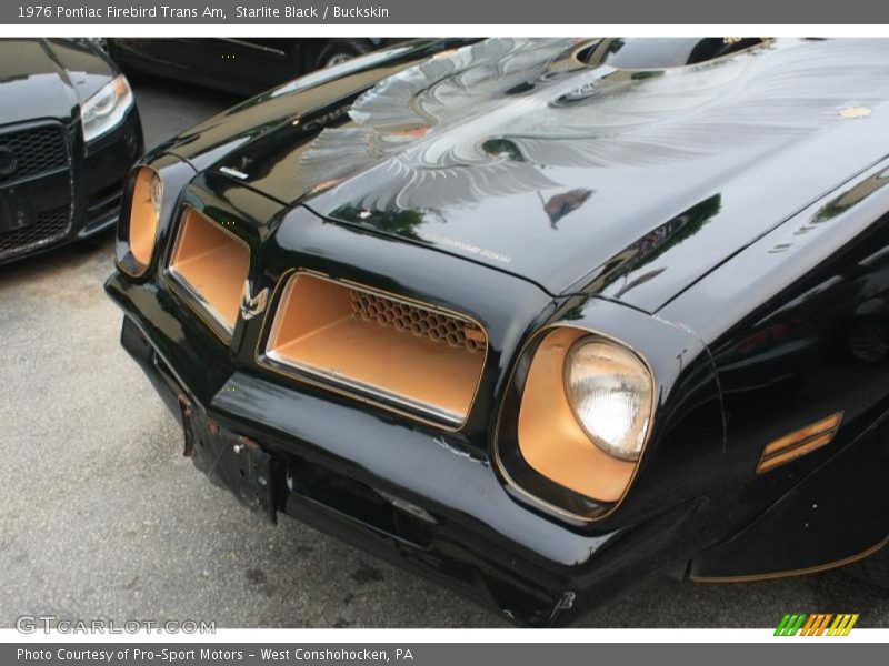 Starlite Black / Buckskin 1976 Pontiac Firebird Trans Am
