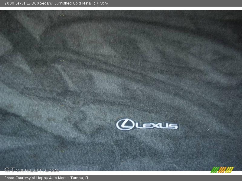 Burnished Gold Metallic / Ivory 2000 Lexus ES 300 Sedan