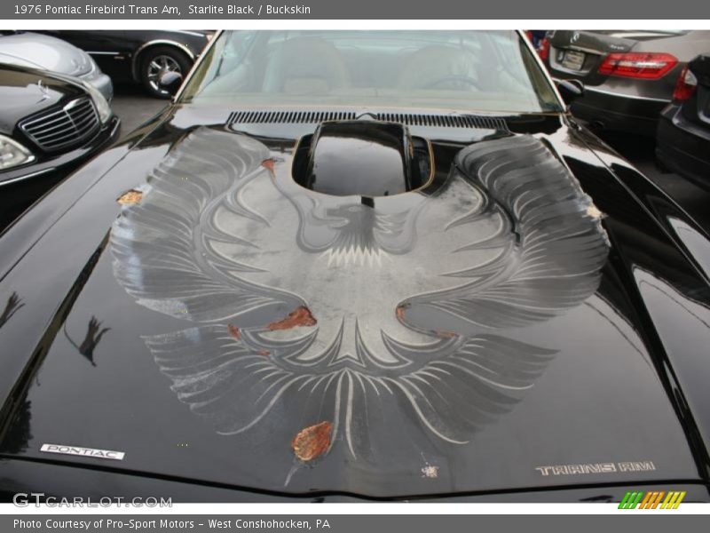 Starlite Black / Buckskin 1976 Pontiac Firebird Trans Am