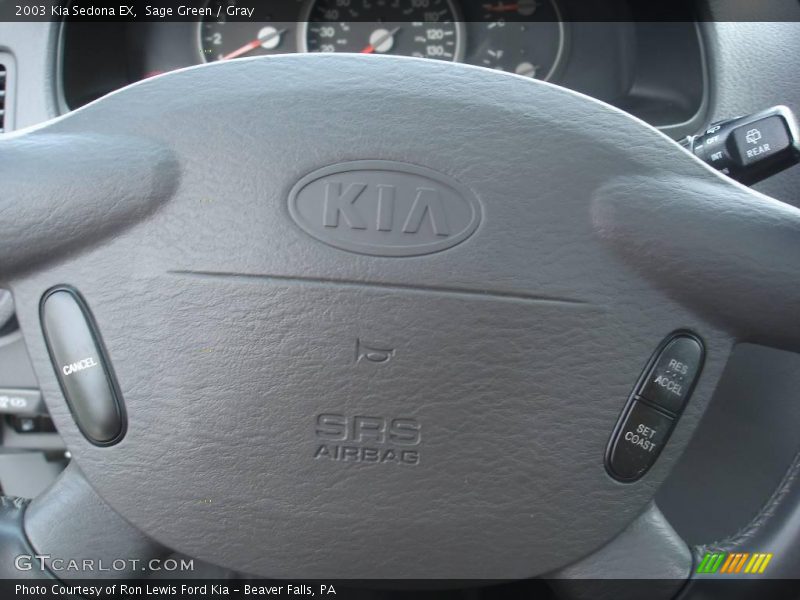 Sage Green / Gray 2003 Kia Sedona EX