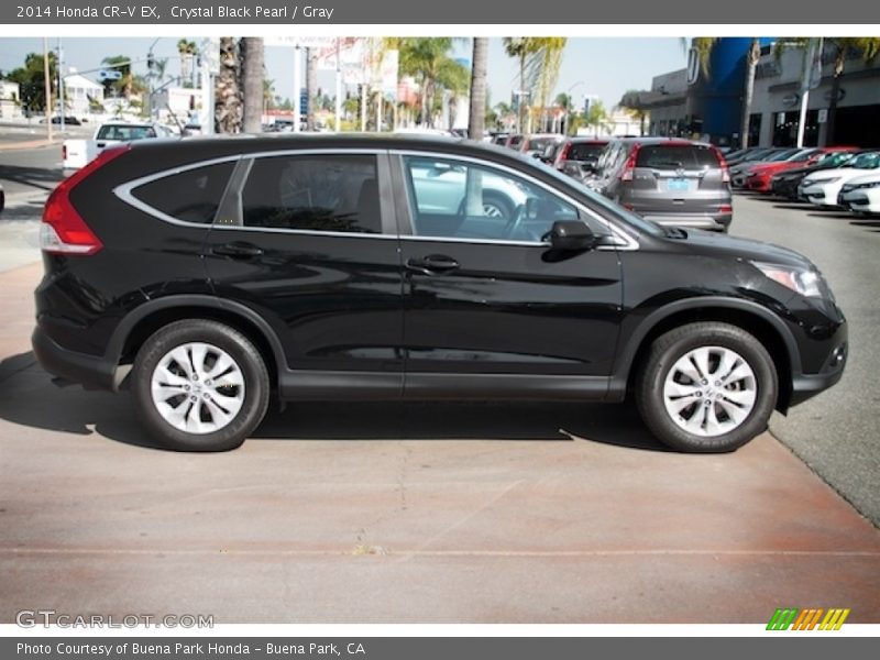 Crystal Black Pearl / Gray 2014 Honda CR-V EX