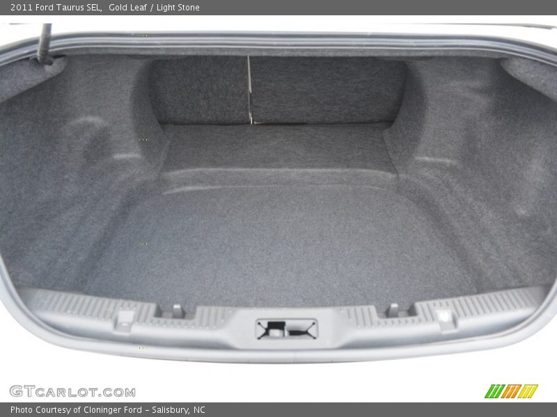 Gold Leaf / Light Stone 2011 Ford Taurus SEL