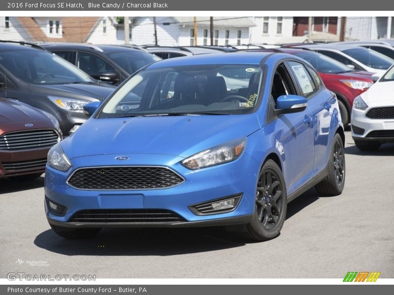 Blue Candy / Charcoal Black 2016 Ford Focus SE Hatch