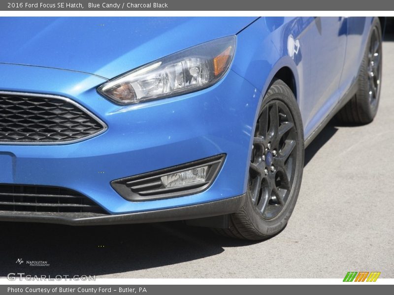 Blue Candy / Charcoal Black 2016 Ford Focus SE Hatch