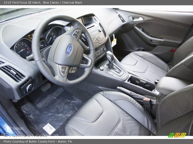 Blue Candy / Charcoal Black 2016 Ford Focus SE Hatch