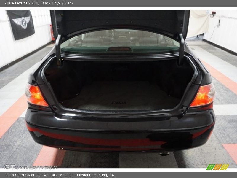 Black Onyx / Black 2004 Lexus ES 330