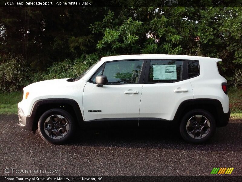 Alpine White / Black 2016 Jeep Renegade Sport
