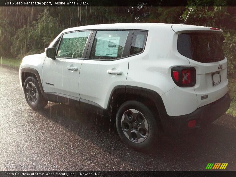 Alpine White / Black 2016 Jeep Renegade Sport
