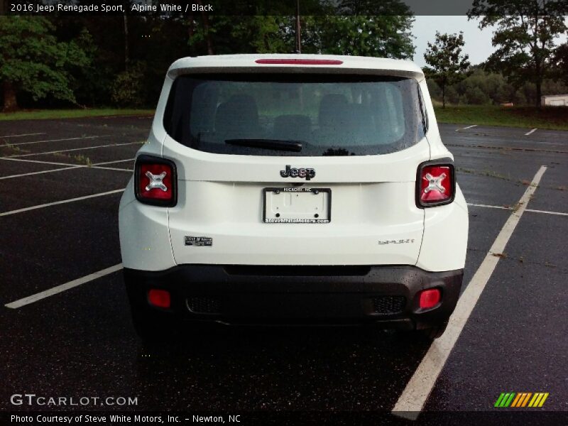 Alpine White / Black 2016 Jeep Renegade Sport