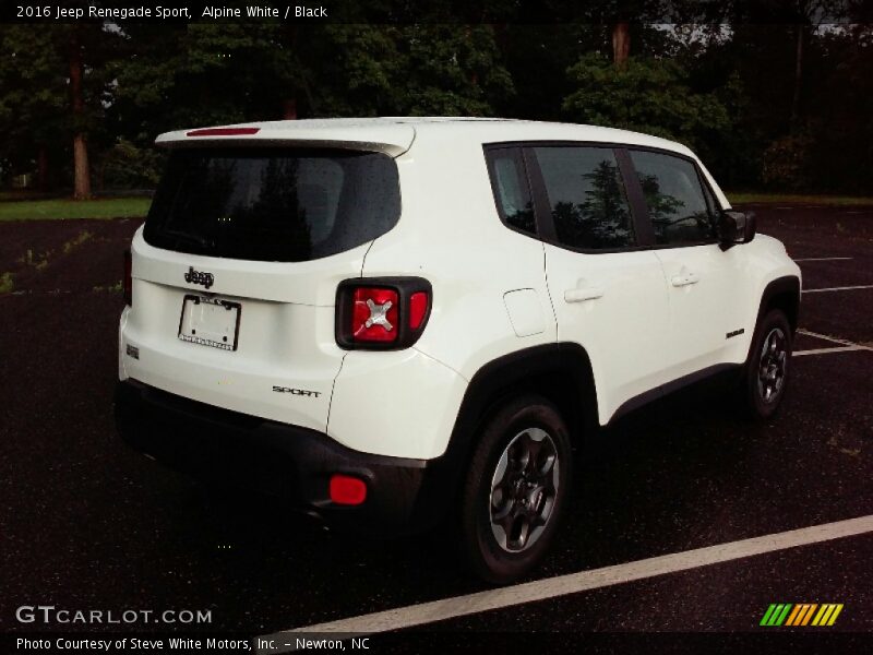 Alpine White / Black 2016 Jeep Renegade Sport
