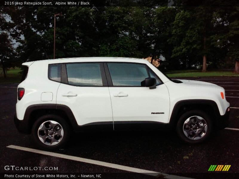 Alpine White / Black 2016 Jeep Renegade Sport