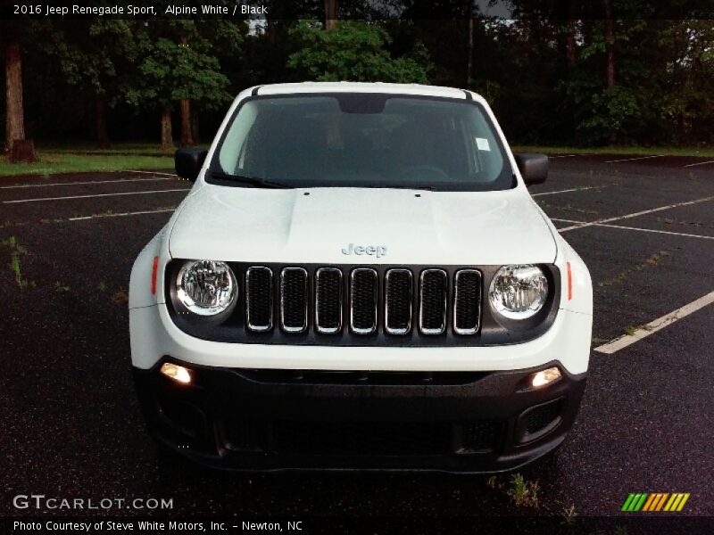 Alpine White / Black 2016 Jeep Renegade Sport