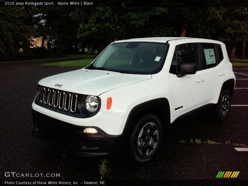 Alpine White / Black 2016 Jeep Renegade Sport
