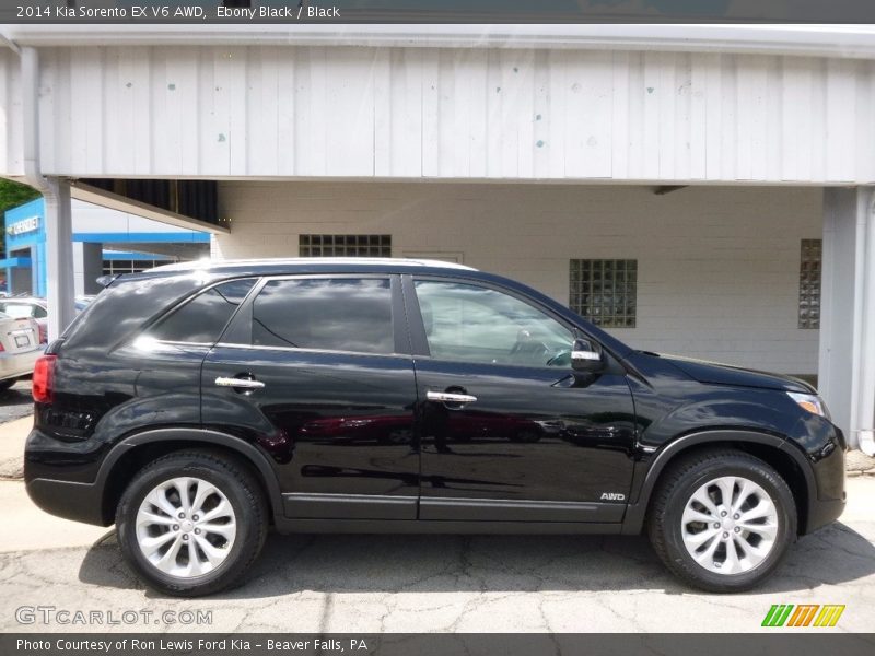 Ebony Black / Black 2014 Kia Sorento EX V6 AWD