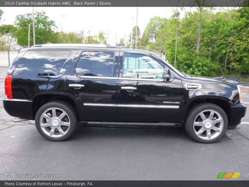 Black Raven / Ebony 2010 Cadillac Escalade Hybrid AWD
