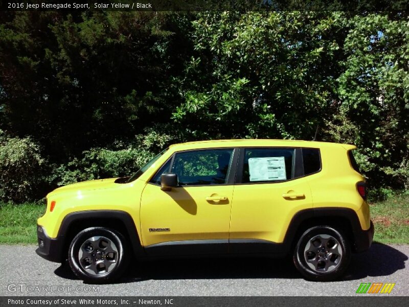 Solar Yellow / Black 2016 Jeep Renegade Sport