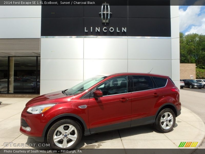 Sunset / Charcoal Black 2014 Ford Escape SE 1.6L EcoBoost