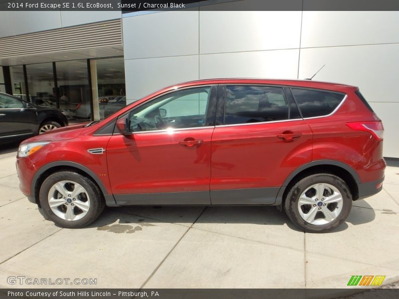 Sunset / Charcoal Black 2014 Ford Escape SE 1.6L EcoBoost