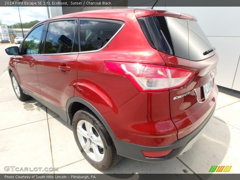 Sunset / Charcoal Black 2014 Ford Escape SE 1.6L EcoBoost