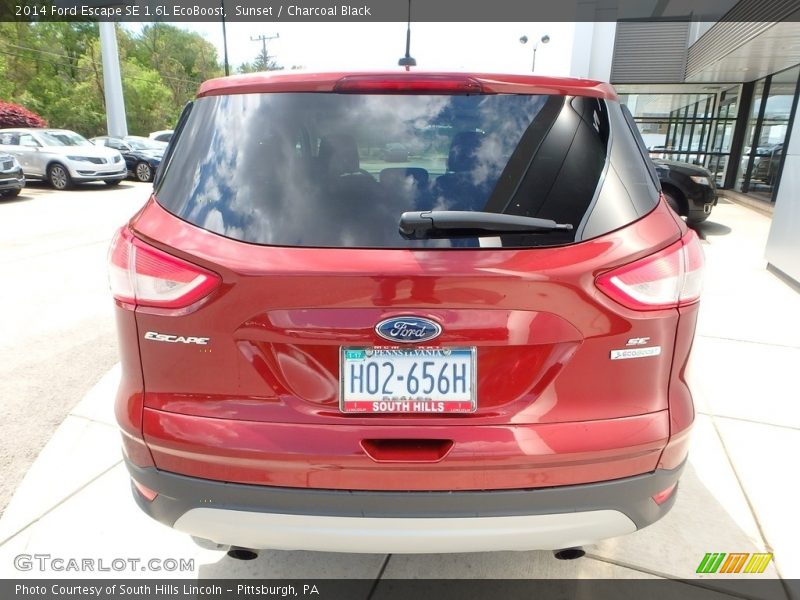 Sunset / Charcoal Black 2014 Ford Escape SE 1.6L EcoBoost
