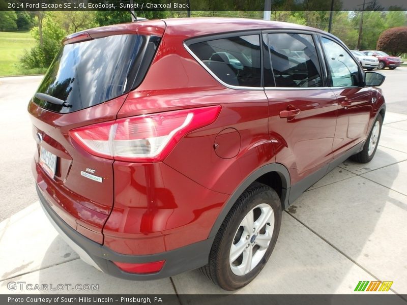 Sunset / Charcoal Black 2014 Ford Escape SE 1.6L EcoBoost