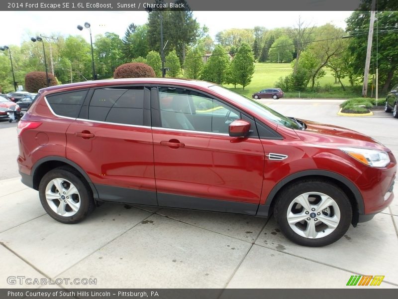 Sunset / Charcoal Black 2014 Ford Escape SE 1.6L EcoBoost