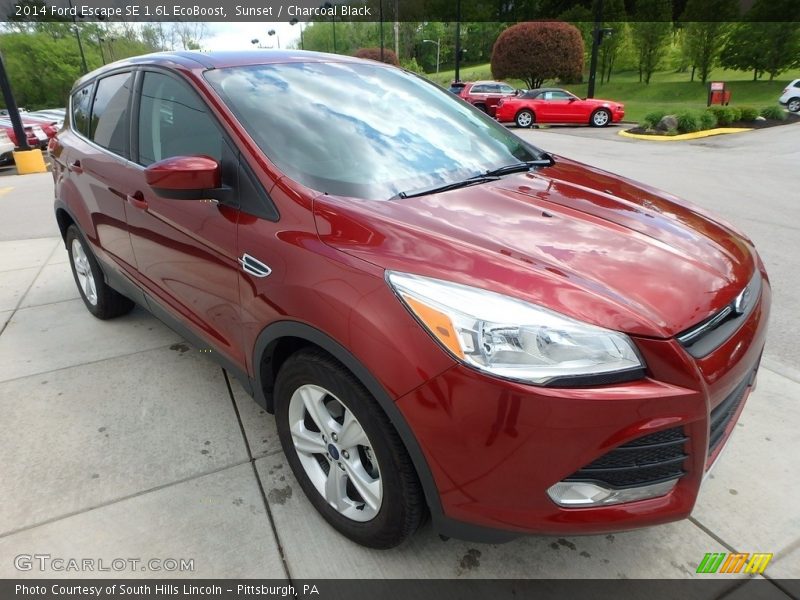 Sunset / Charcoal Black 2014 Ford Escape SE 1.6L EcoBoost