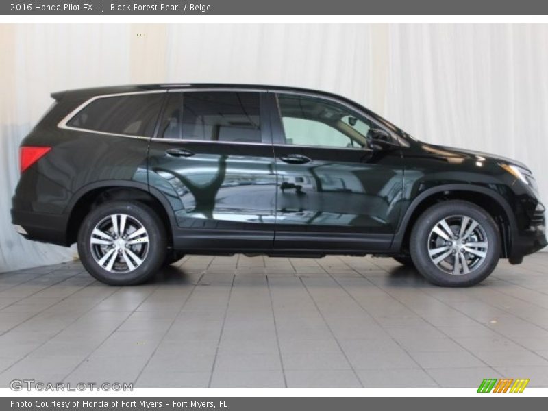 Black Forest Pearl / Beige 2016 Honda Pilot EX-L