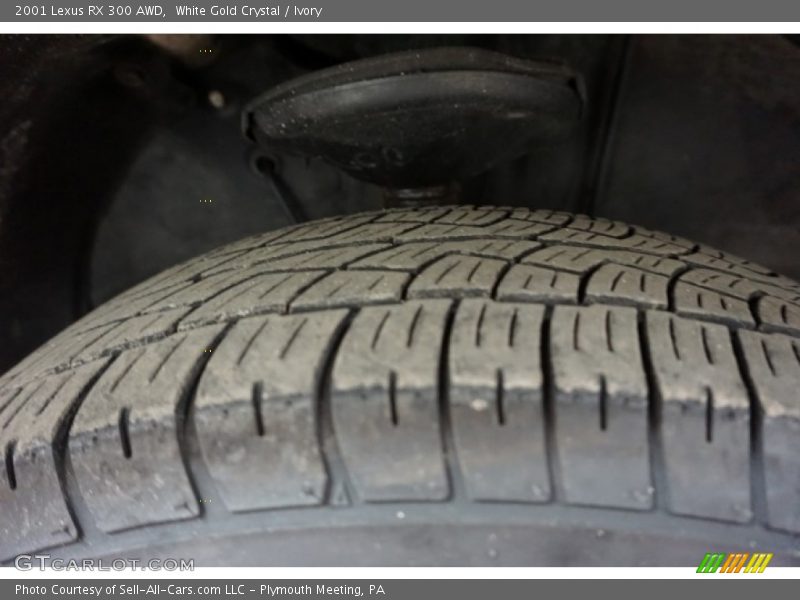 White Gold Crystal / Ivory 2001 Lexus RX 300 AWD
