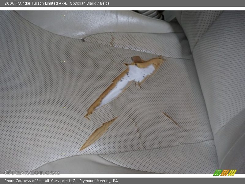 Obsidian Black / Beige 2006 Hyundai Tucson Limited 4x4