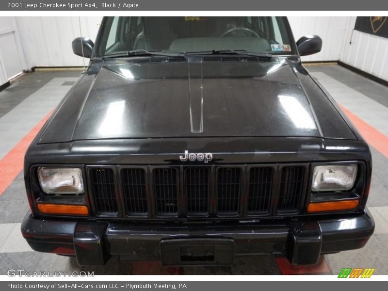 Black / Agate 2001 Jeep Cherokee Sport 4x4