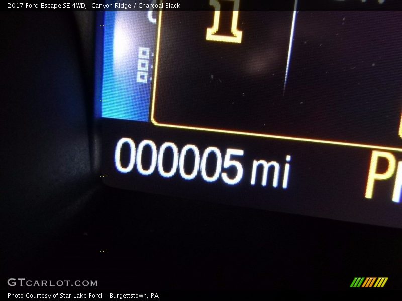 Canyon Ridge / Charcoal Black 2017 Ford Escape SE 4WD